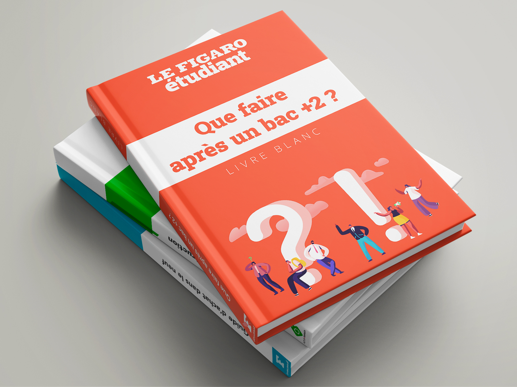 White Paper Whites Papers Livre Blanc Livres Blancs Le Figaro Étudiant Figaro Immoneuf Achat-Terrain Books Meunier Directeur artistique graphiste art director graphic designer